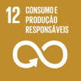 Consumo e produção responsaveis