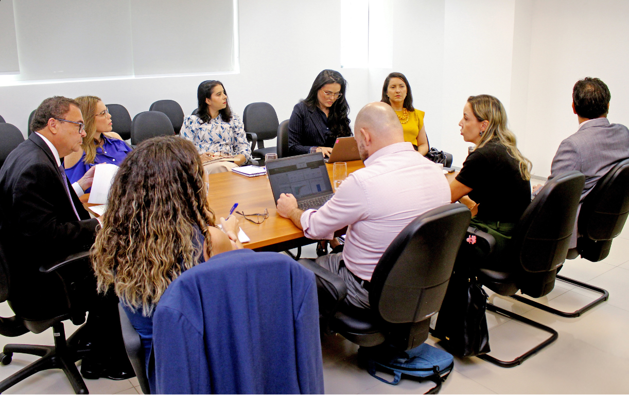 Reunião com INSS, Sistema SIRC