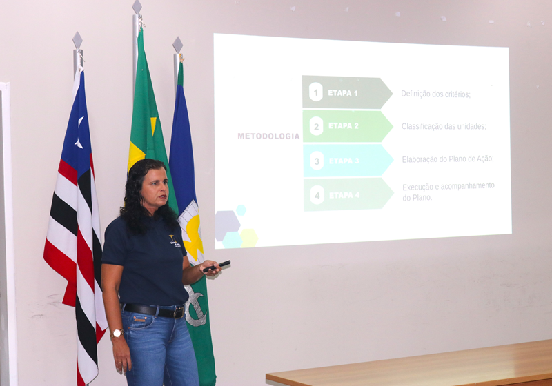 mulher, em pé, fala em frente a uma projecao de tela