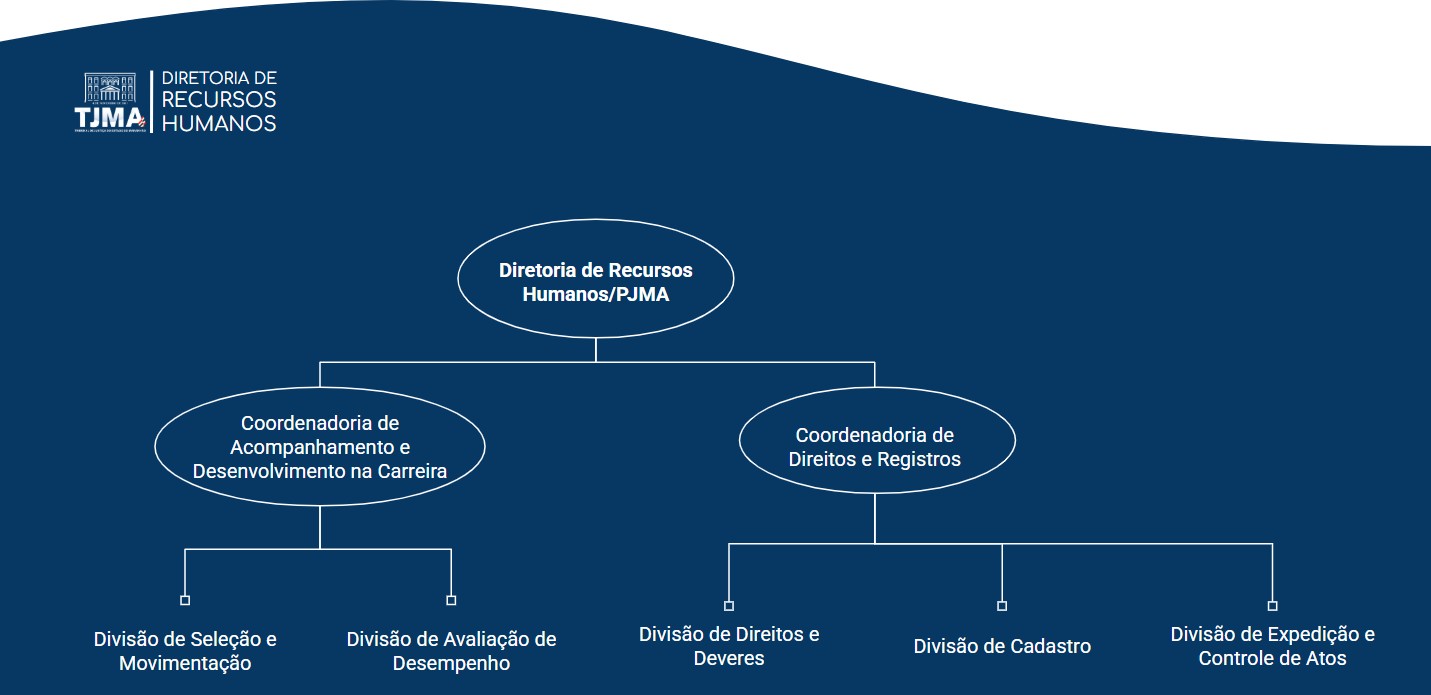 Nosso Organograma