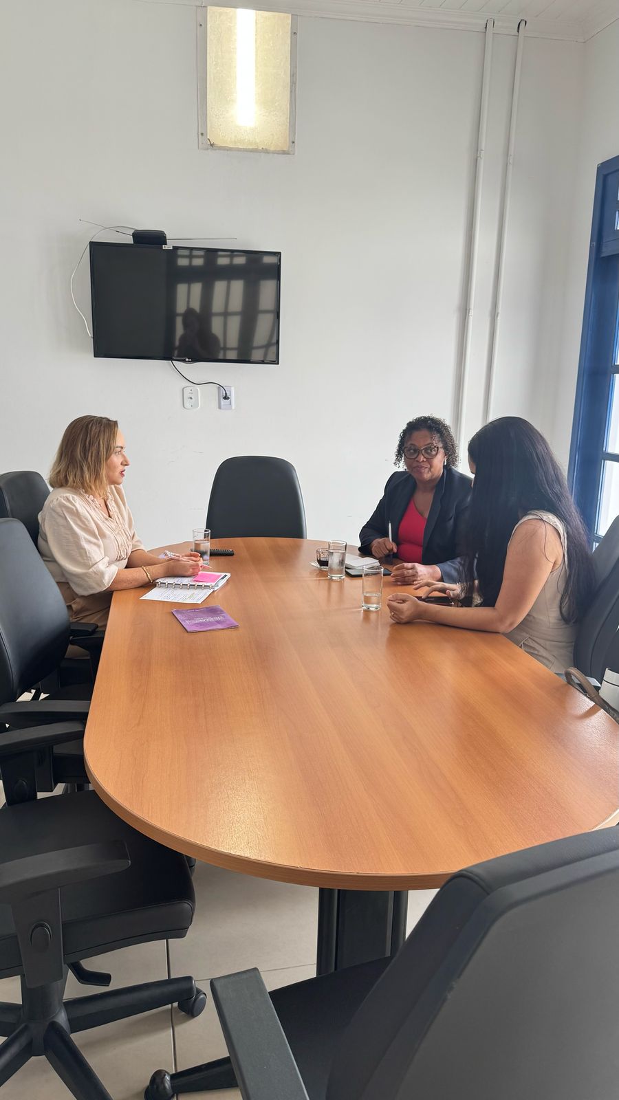 REUNIÃO COM A OUVIDORA DA SECRETARIA DE SEGURANÇA PÚBLICA DO ESTADO - 20/02/2025