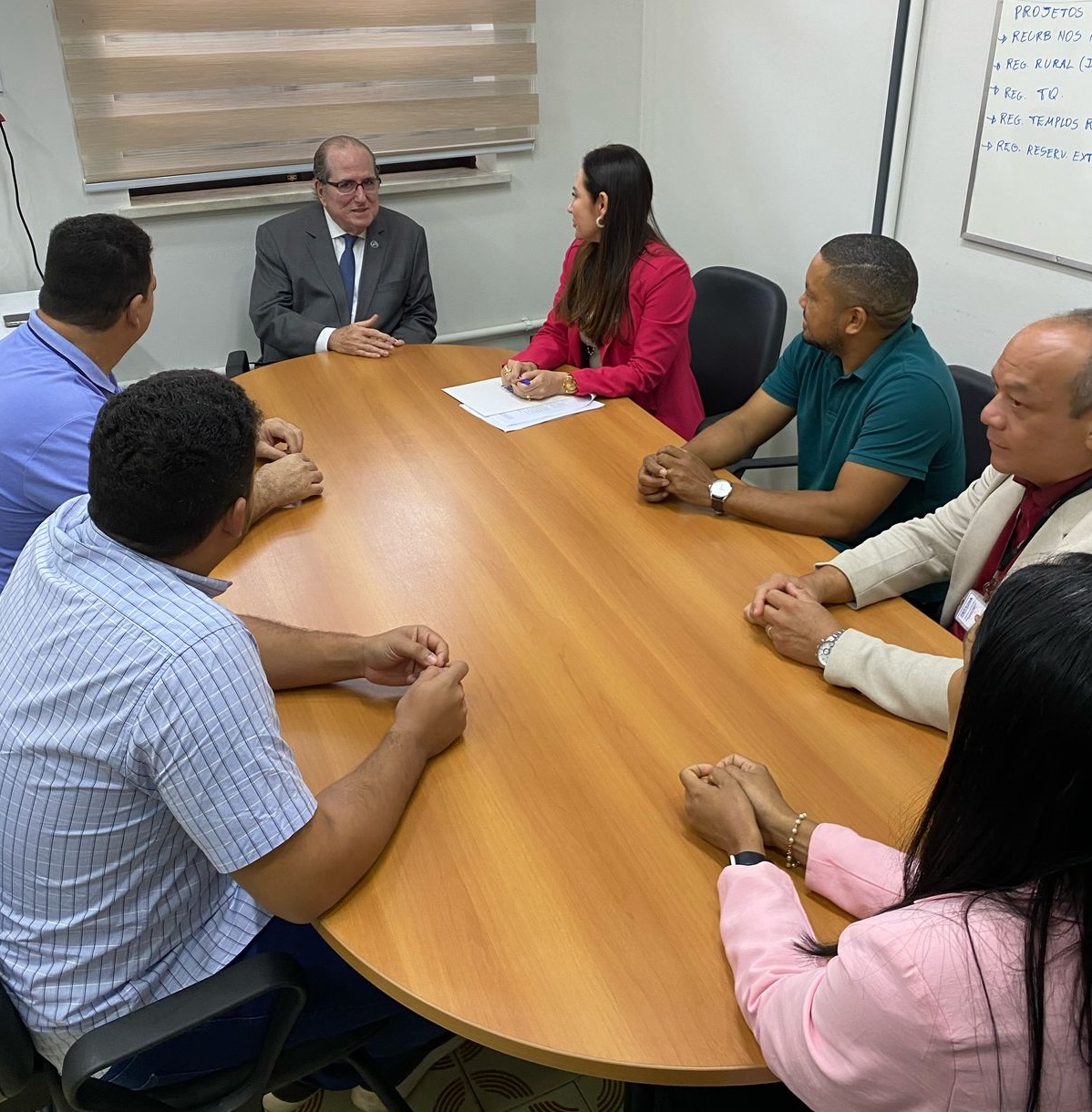 A imagem mostra um grupo de sete pessoas sentadas em torno de uma mesa de madeira em uma sala de reuniões. Eles estão envolvidos em uma discussão, com uma pessoa na cabeceira da mesa liderando a conversa enquanto os outros escutam atentamente. Na parede ao fundo, há um quadro branco com tópicos escritos à mão.

O ambiente transmite um cenário profissional, sugerindo que o grupo está colaborando em ideias ou planos relacionados a projetos ou reuniões organizacionais.