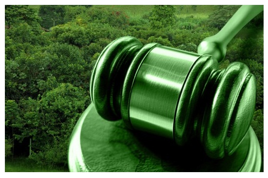 Imagem de floresta verde com um martelo da Justiça em cima