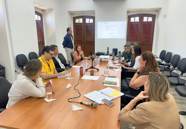 Grupo de pessoas reunido em uma mesa de reuniões, todas sentadas. Ao fundo, um telão projeta uma apresentação. A maioria das pessoas olha para a mulher que está falando. A sala tem janelas de madeira e iluminação natural.