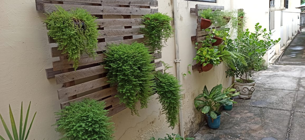Plantas em jardim vertical em parede amarela