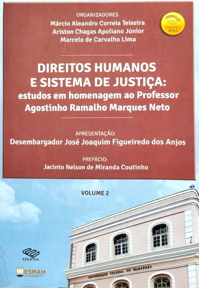 e-book DIREITOS HUIMANOS v.2
