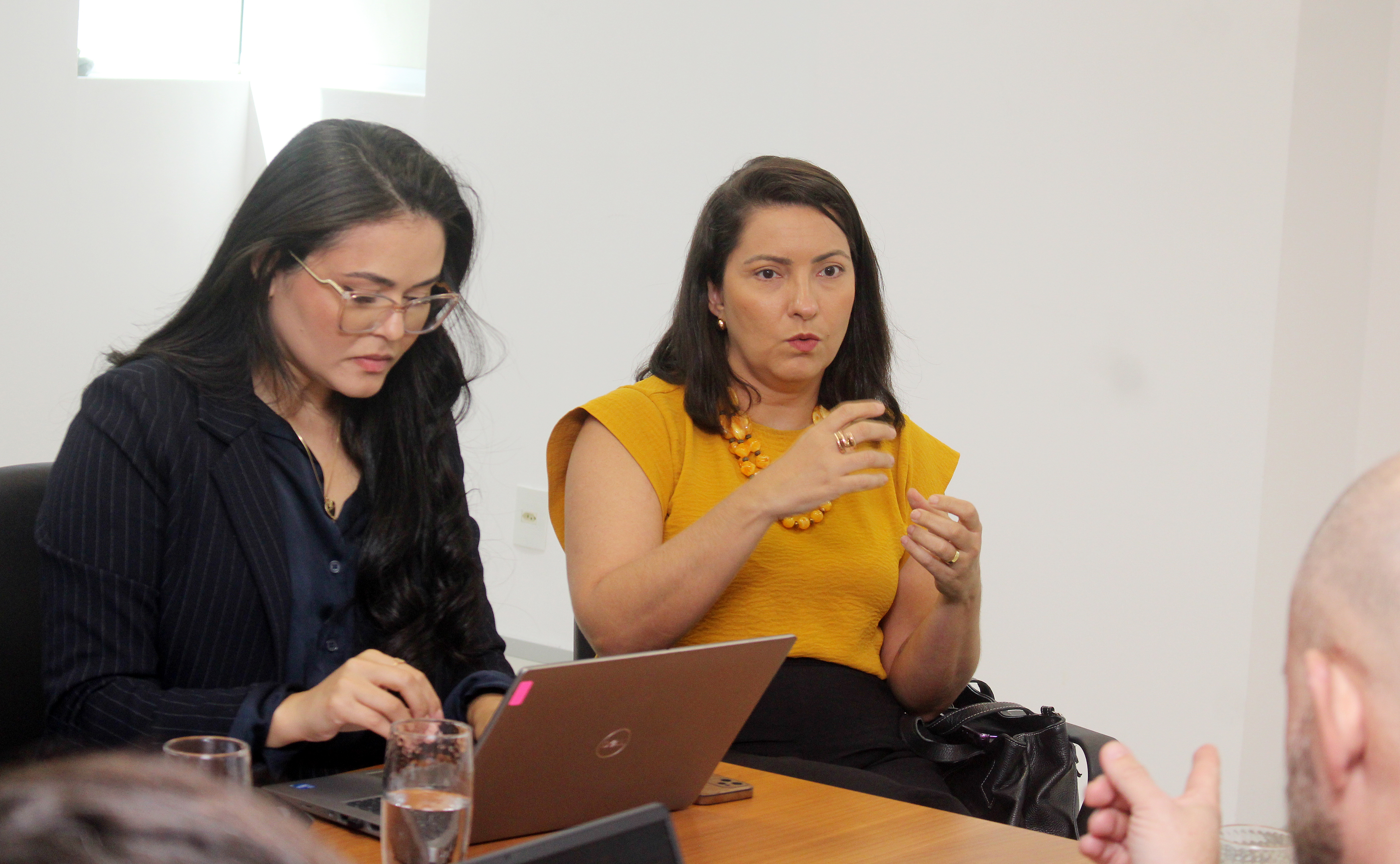 Reunião com INSS, Sistema SIRC