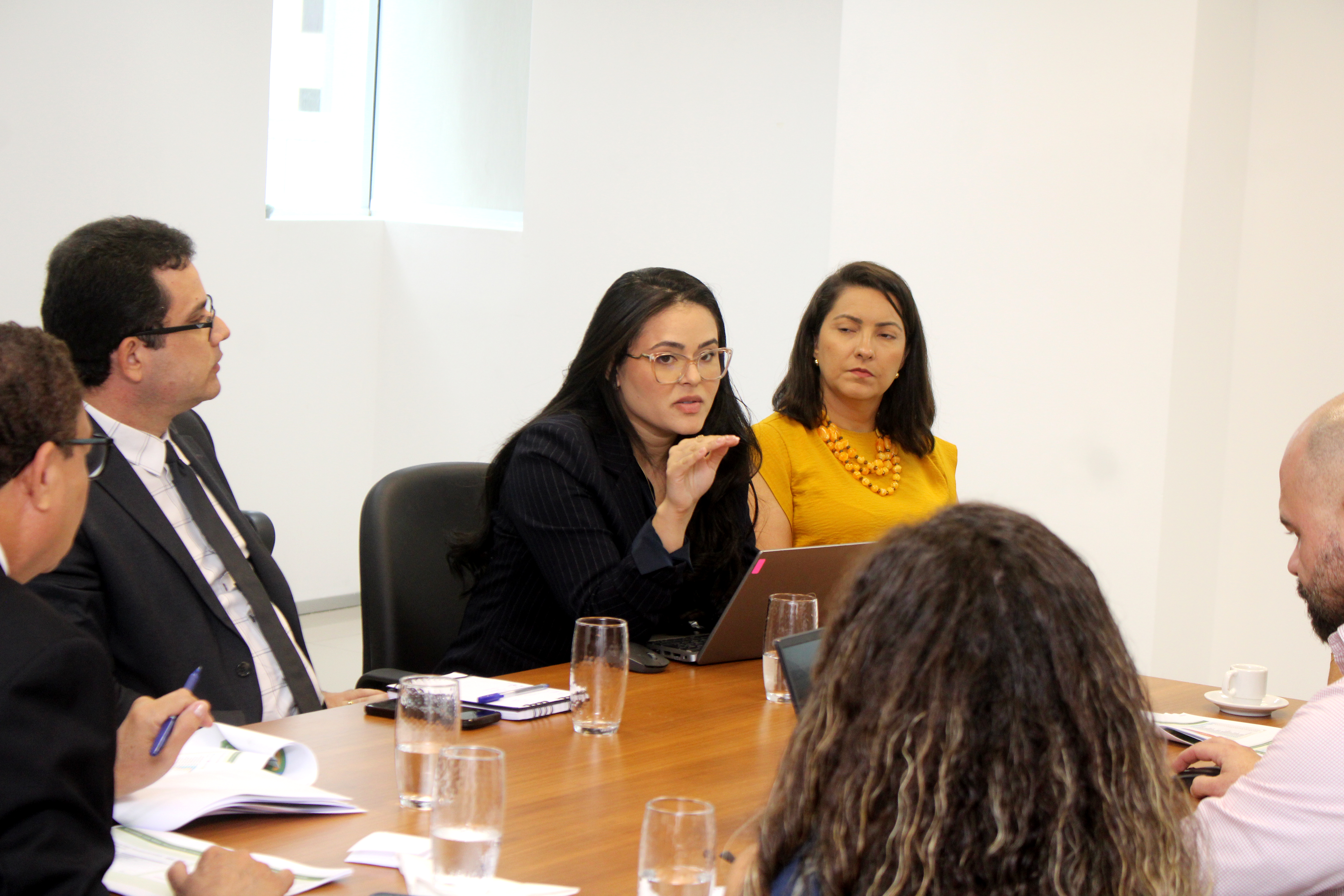 Reunião com INSS, Sistema SIRC