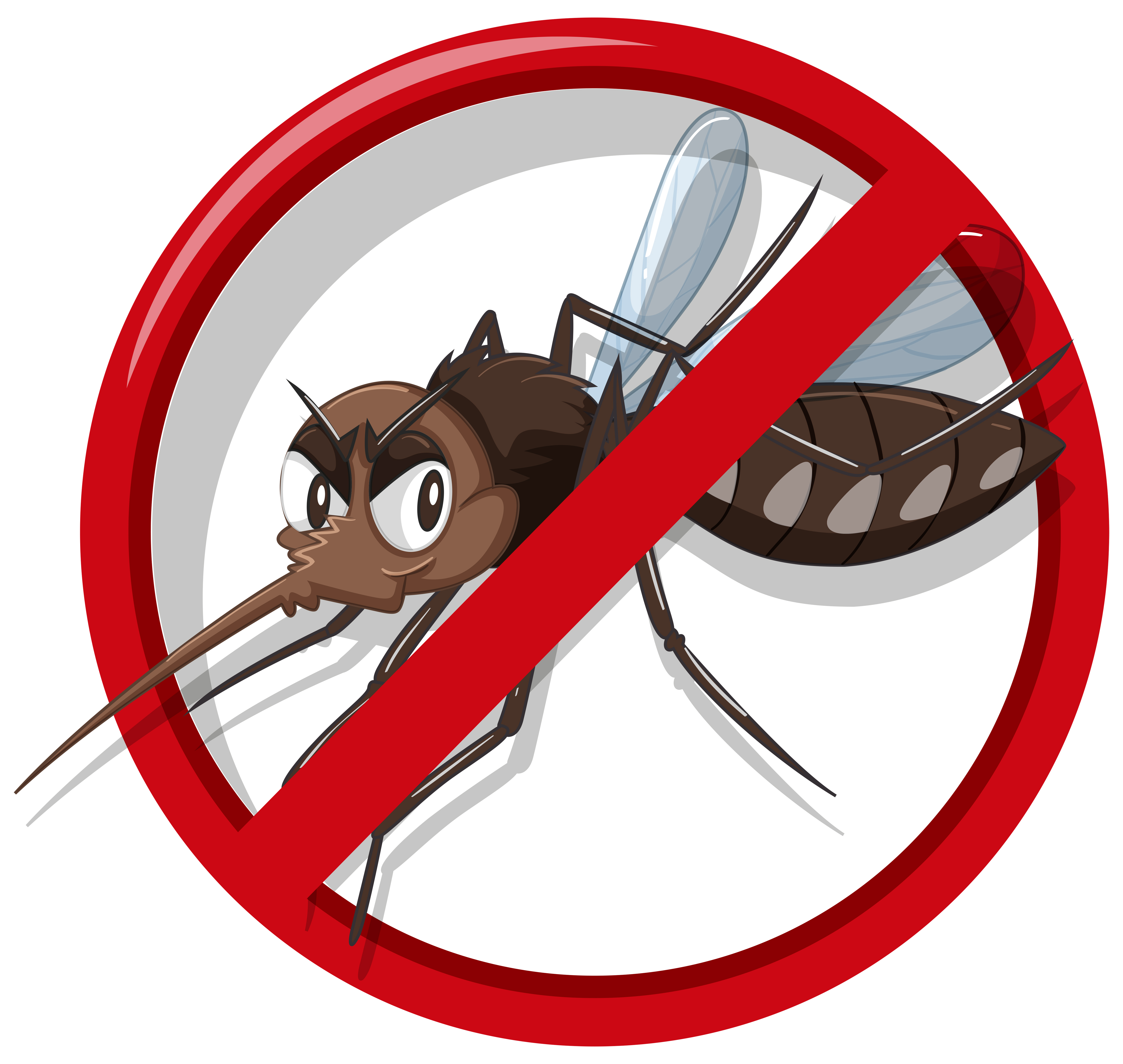 Dengue, febre pelo vírus Zika e febre de Chikungunya